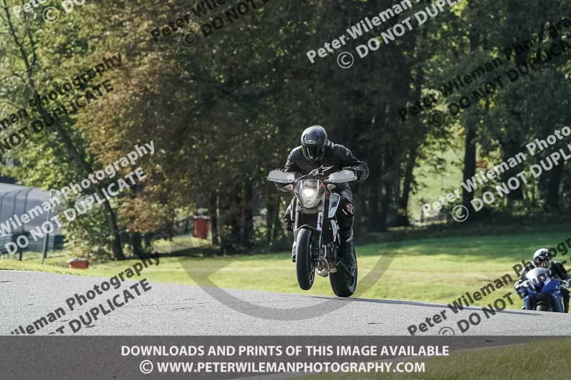 cadwell no limits trackday;cadwell park;cadwell park photographs;cadwell trackday photographs;enduro digital images;event digital images;eventdigitalimages;no limits trackdays;peter wileman photography;racing digital images;snetterton;snetterton no limits trackday;snetterton photographs;snetterton trackday photographs;trackday digital images;trackday photos